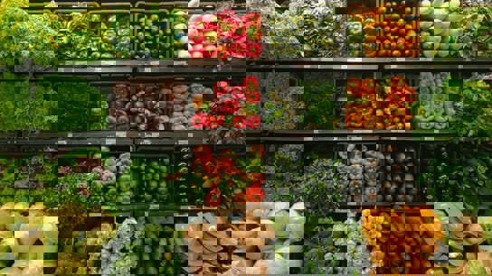 Flera stora grönsaksdiskar med många olika rotfrukter och grönsaker