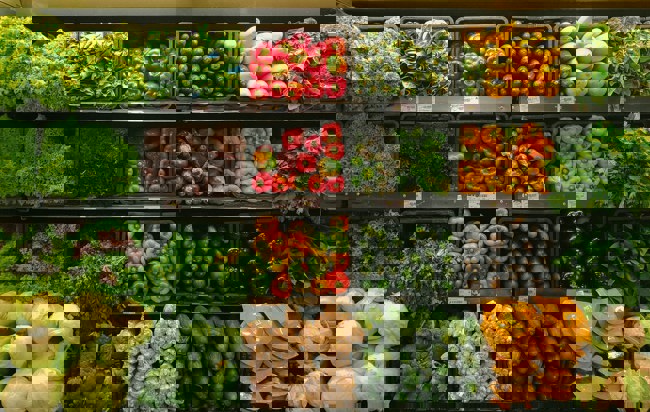 Flera stora grönsaksdiskar med många olika rotfrukter och grönsaker