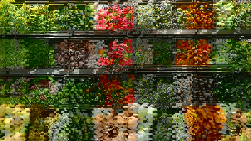 Flera stora grönsaksdiskar med många olika rotfrukter och grönsaker